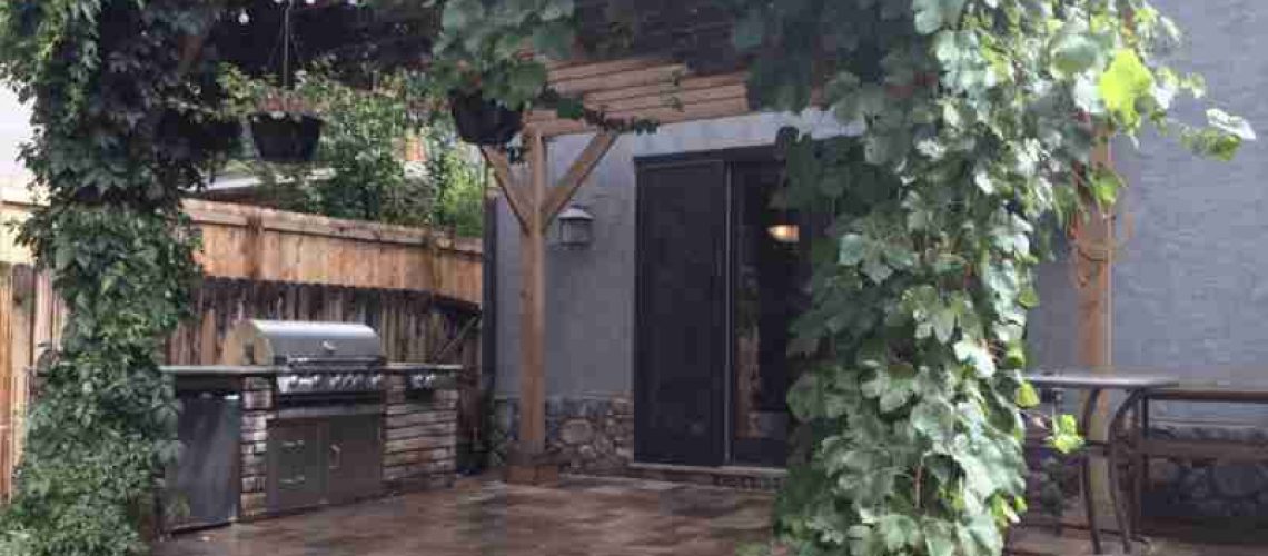 Plants and vines around outdoor pergola